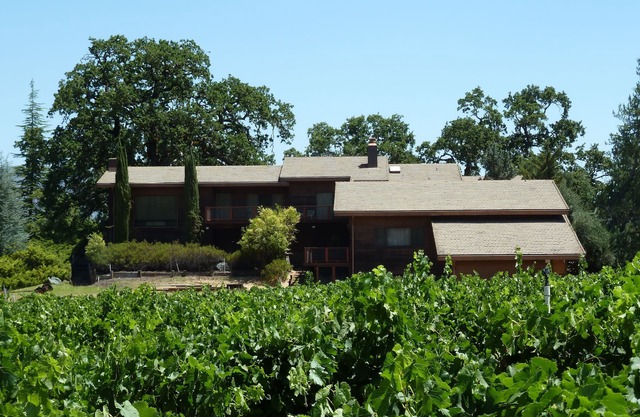 Grande maison de vacances au pays du vin dans un vignoble privé