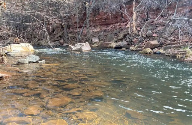 Largest Dome in Sedona! 7 acres on Oak Creek, 8 minutes from down town Sedona!