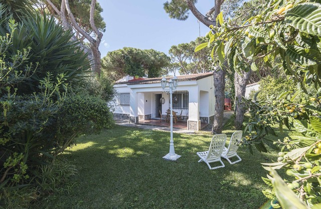 LAS CAMELIAS - Beautiful house 800 meters from La Barrosa beach with free Wi-Fi