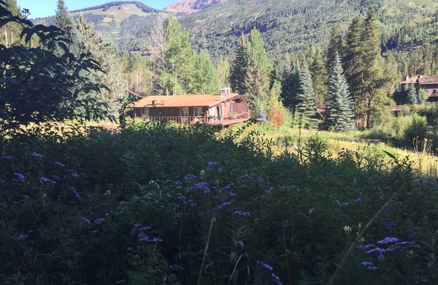 Cabine isolée de Vail, une vue unique!