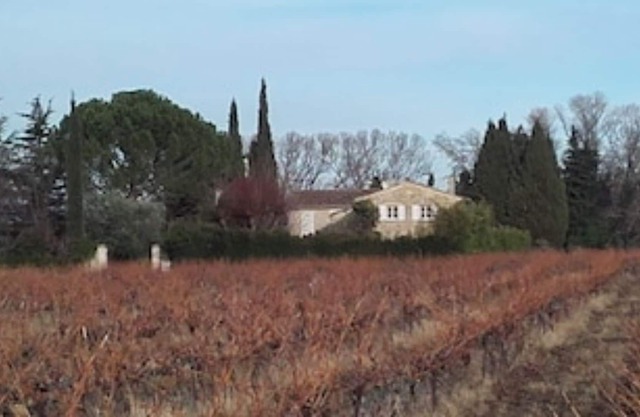 Lavender+Cicadas+Olive trees, Mas Le Moulin Neuf