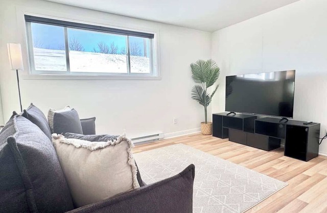 Le Cozy Résumé: Décou