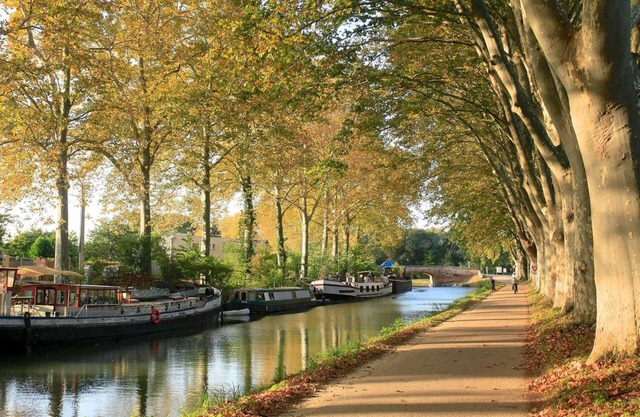 Le Meublé de Boubée - Toulouse