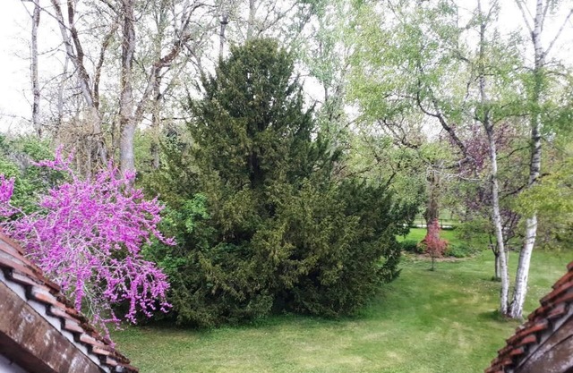 Le Parc des Aubiers