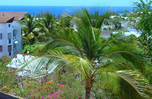 Le ti' boucan - Boucan canot