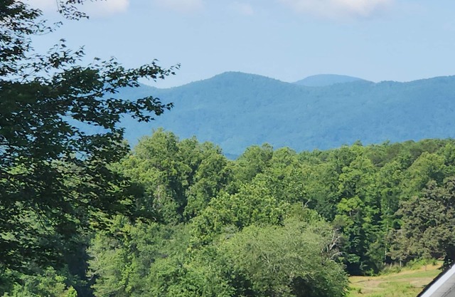 Pool is OPEN! Mountain views, hiking, biking, 25 minutes to AVL