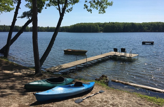 Pin penché: un chalet au bord du lac calme