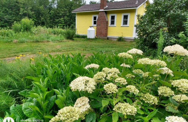 Le Lemon Drop Cottage / PRIVÉ, entièrement équipé, vacances ou affaires.
