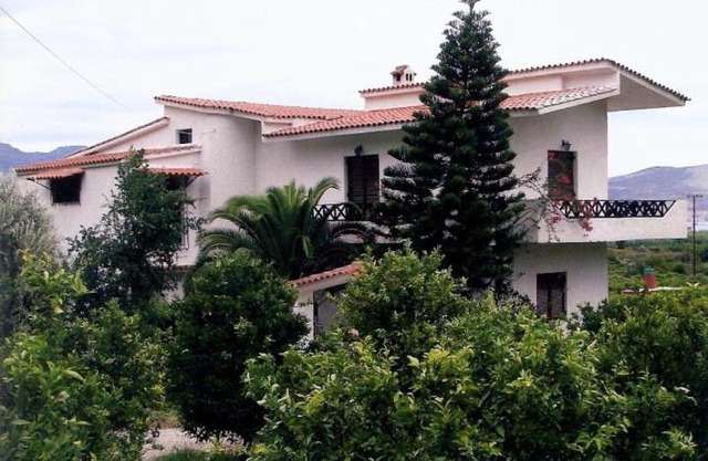 Lemon tree house