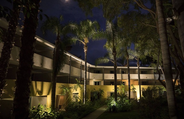 Lemon Tree Inn