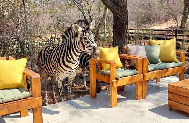Lenny's Den - meet the wildlife!