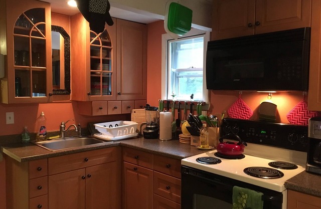 Leprechaun's Landing * Maison de ski familiale ou retraite estivale