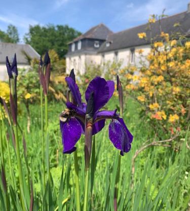 Les Gîtes du Manoir de Keryvon
