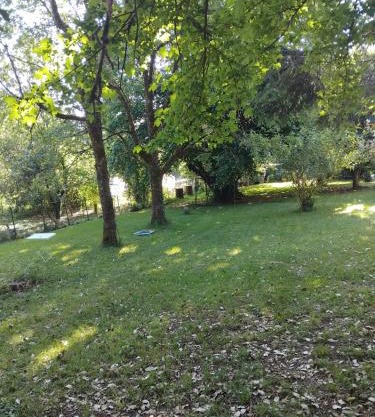 les lauriers