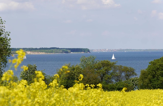 Laissez votre esprit flâner au bord de la mer par tous les vents et par tous les temps!