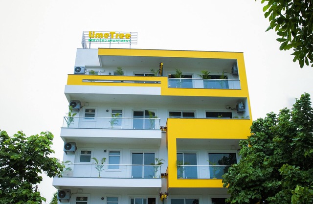 Lime Tree Luxury Studio