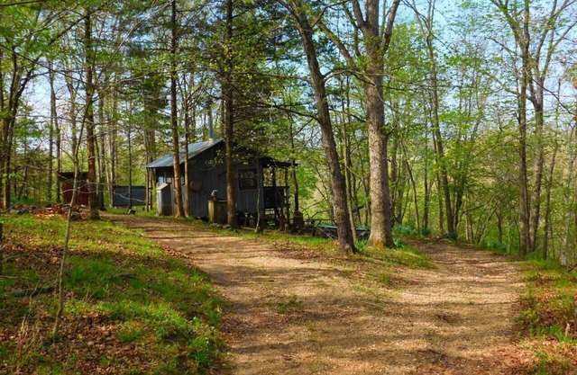 Line Camp Cabin est isolée dans les bois près de la rivière.