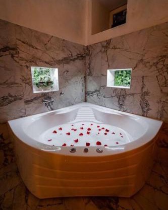 Lisa Zemun Spa Apartment