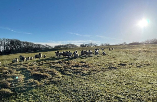 Little Barn Escape: Serene Getaway with Scenic Views of Corfe Castle