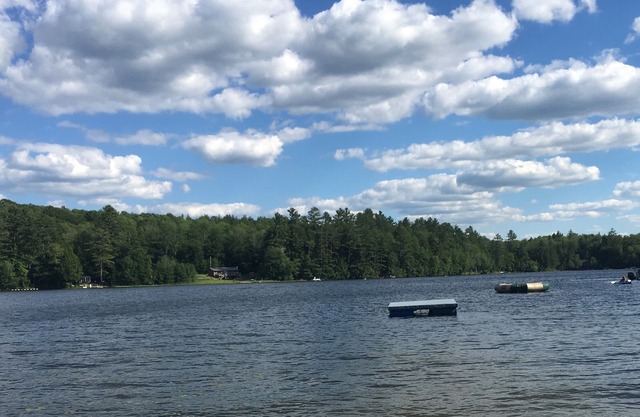 Little Cabin Retreat - *Waterfront Access/Dog Friendly*