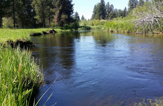 Retraite familiale Little Deschutes River - Du plaisir pour toute la famille!