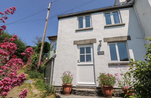 Little Hamlin, LISKEARD
