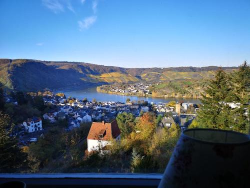 Little Rhine View Château - UG Apartment