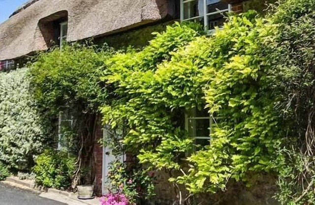 Petit chaume, CERNE ABBAS