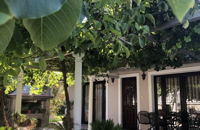 Little villa