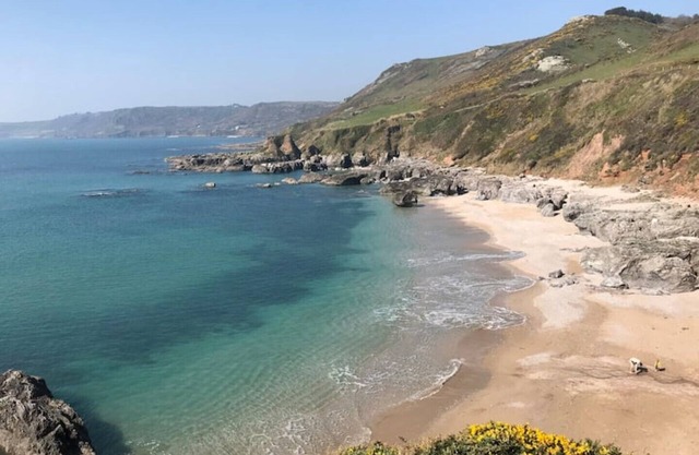 Little Well, Slapton (2 acres, dogs welcome).