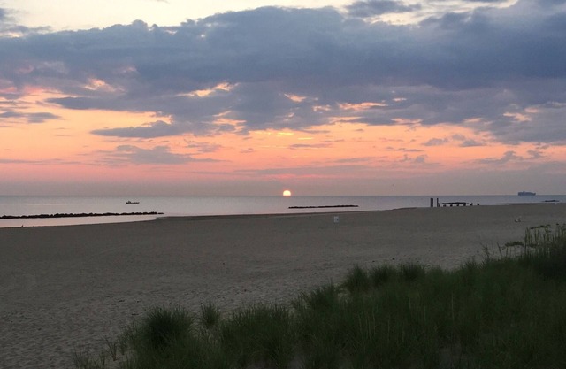 Vivez la "Vie sur une barre de sable" dans un bungalow en bord de mer!