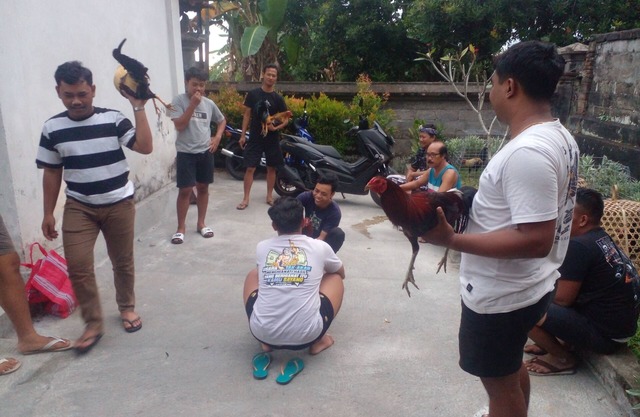 Livin house adalah rumah pedesaan yang kental dengan adat kehidupan di bali