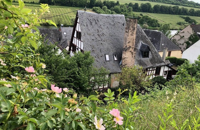 Vivre dans un Winzerhof classé, élégant Galeriewohnunge