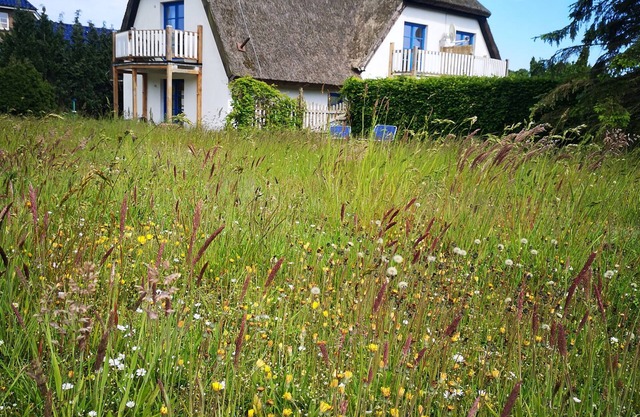 Apartments at the hunting lodge 6