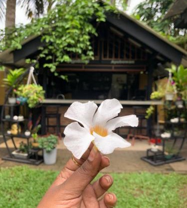 Living with Lankan's Homestay