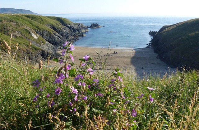 Lleynholidays - Cae Garw cottage nr Abersoch avec une vue imprenable sur la mer