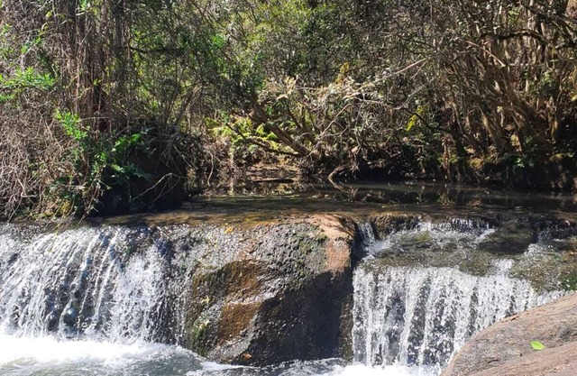 Locanda Horto Florestal Campos