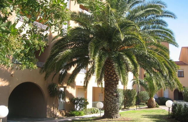 Location été l'Ile-Rousse (appt idéal, proximité plage et centre ville)