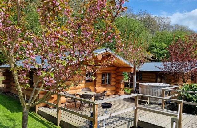 Lodge 1 - a lodge that sleeps 4 guests in 1 bedroom