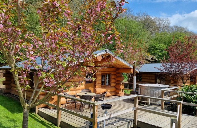 Lodge 2 - a lodge that sleeps 4 guests in 1 bedroom