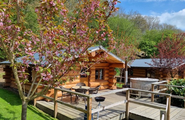 Lodge 3 - a lodge that sleeps 4 guests in 1 bedroom