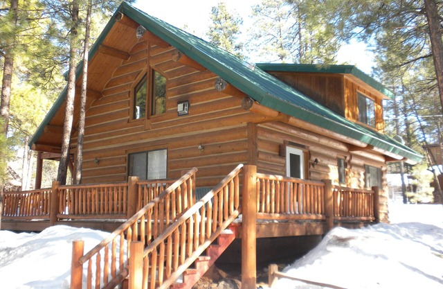 Cabine de luxe dans les bois