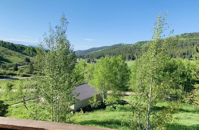 Log cabin on 4 acres