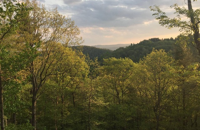 Log Cabin sur 9 acres privés sur Blue Ridge Parkway avec des vues magnifiques