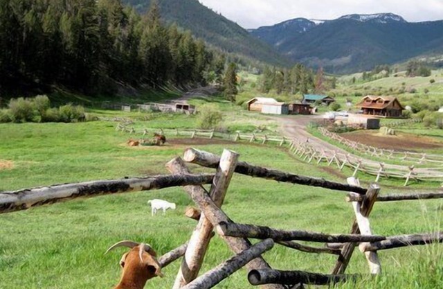 Log Cabin On Historic Yellowstone Park Ranch on the McDonald Ranch