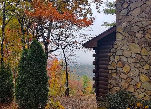Log Cabin