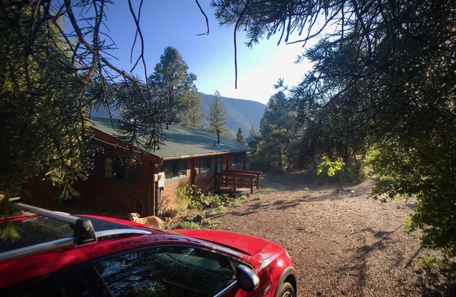 **NOUVEAU!!* Cabine rustique! Sauna, home cinéma, cabane dans les arbres et promenade facile en ville.