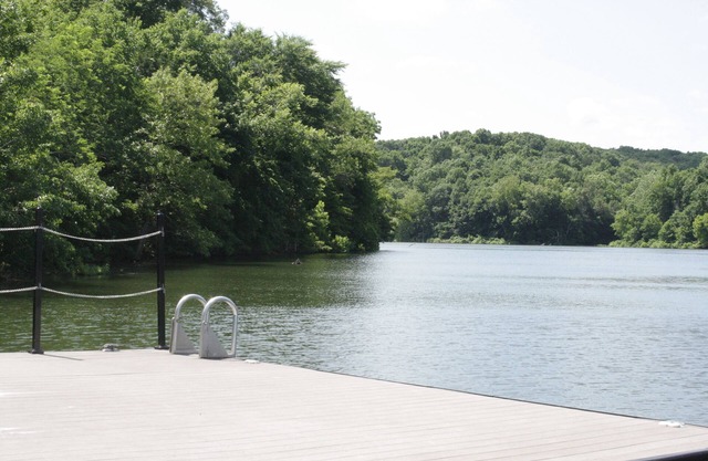 Luxurious Log Home on Beaver Lake with room to roam!