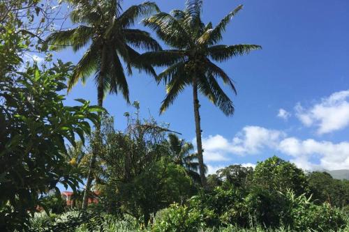 Logement en pleine verdure tropicale -10 min plage