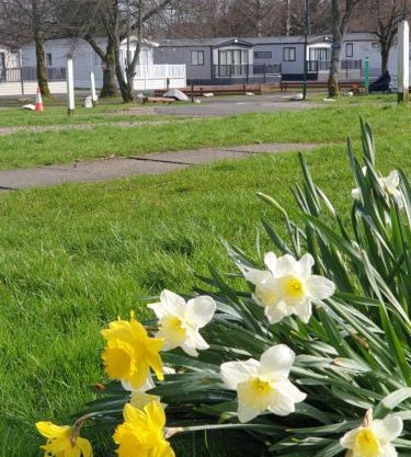 Lomond Woods Holiday Park